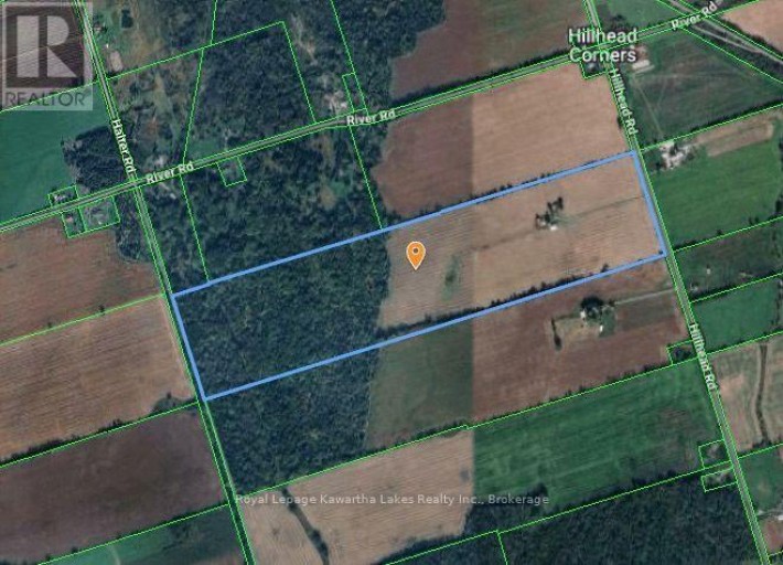 583 HILLHEAD ROAD, Kawartha Lakes (Ops), Ontario, K0L2X0