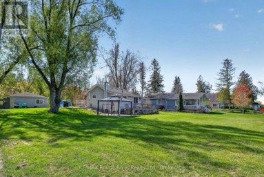169 CEDAR DRIVE Trent Hills (Hastings) Ontario photo 24