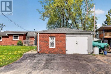 169 CEDAR DRIVE Trent Hills (Hastings) Ontario photo 31