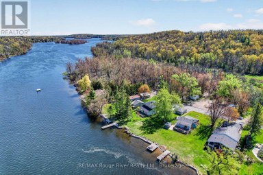 169 CEDAR DRIVE Trent Hills (Hastings) Ontario photo 32