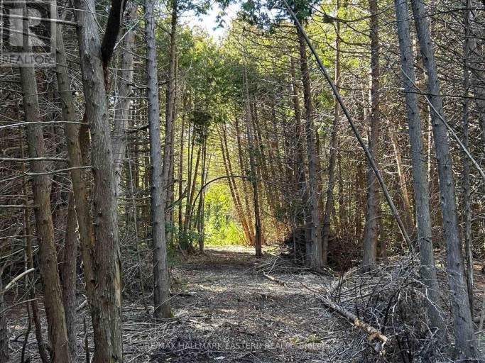 615 EDENDERRY LINE, Selwyn, Ontario, K0L1T0
