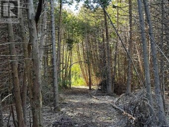 615 EDENDERRY LINE Selwyn Ontario photo 48