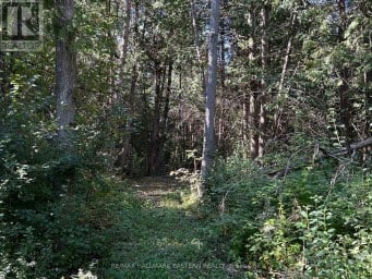615 EDENDERRY LINE Selwyn Ontario photo 49