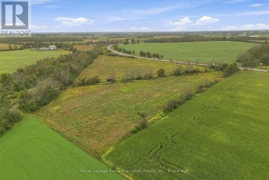 PT LT 10 8 CONCESSION Kawartha Lakes (Ops) Ontario photo 11