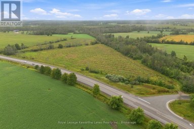 PT LT 10 8 CONCESSION Kawartha Lakes (Ops) Ontario photo 3