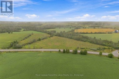 PT LT 10 8 CONCESSION Kawartha Lakes (Ops) Ontario photo 4