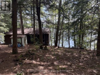 1019 ARROWHEAD DRIVE Highlands East (Glamorgan) Ontario photo 17