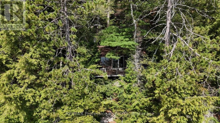 1019 ARROWHEAD DRIVE, Highlands East (Glamorgan), Ontario, K0M1S0