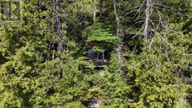 1019 ARROWHEAD DRIVE Highlands East (Glamorgan) Ontario photo 2