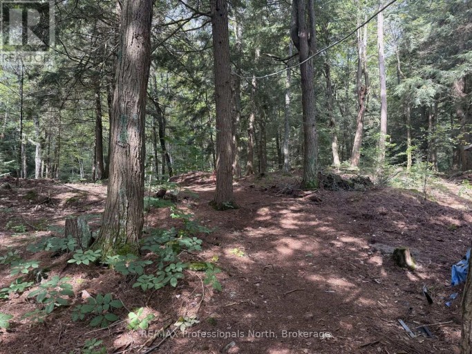 1019 ARROWHEAD DRIVE, Highlands East (Glamorgan), Ontario, K0M1S0