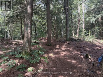 1019 ARROWHEAD DRIVE Highlands East (Glamorgan) Ontario photo 28