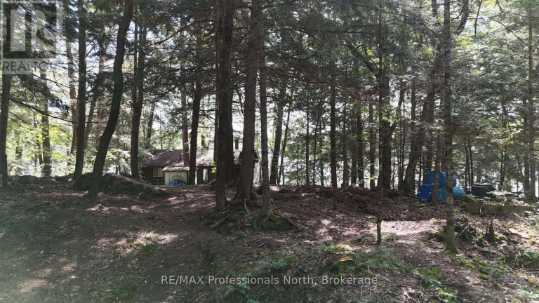 1019 ARROWHEAD DRIVE, Highlands East (Glamorgan), Ontario, K0M1S0