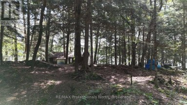 1019 ARROWHEAD DRIVE Highlands East (Glamorgan) Ontario photo 29