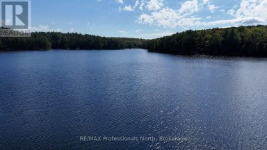 1019 ARROWHEAD DRIVE Highlands East (Glamorgan) Ontario photo 5