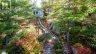 566 HUNGRY BAY ROAD W, Georgian Bay (baxter), Ontario, L0K1S0 (ID X13745808)