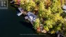 566 HUNGRY BAY ROAD W, Georgian Bay (baxter), Ontario, L0K1S0 (ID X13745808)