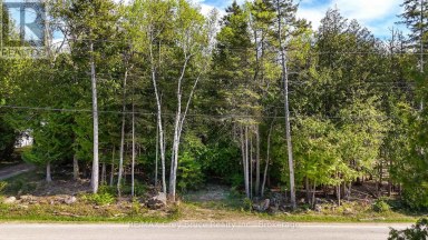 UNIT 6 STOKES BAY ROAD Northern Bruce Peninsula Ontario photo 11