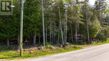 UNIT 6 STOKES BAY ROAD Northern Bruce Peninsula Ontario photo 12