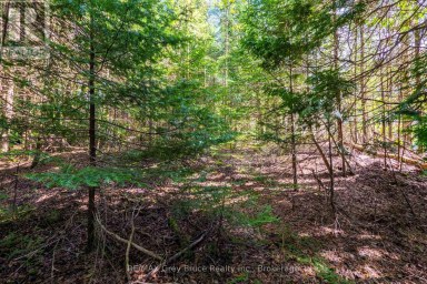 UNIT 6 STOKES BAY ROAD Northern Bruce Peninsula Ontario photo 19
