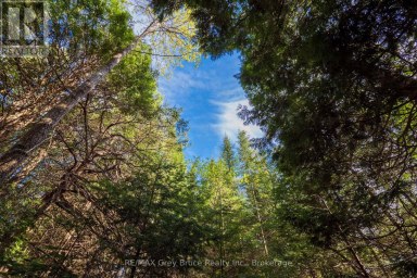 UNIT 6 STOKES BAY ROAD Northern Bruce Peninsula Ontario photo 20