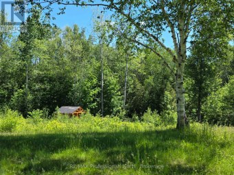 1044 SHANAHAN TRAIL Minden Hills (Minden) Ontario photo 34