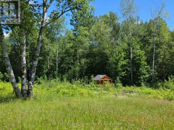 1044 SHANAHAN TRAIL Minden Hills (Minden) Ontario photo 35