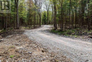1851 CONTAU LAKE ROAD Highlands East (Glamorgan) Ontario photo 41