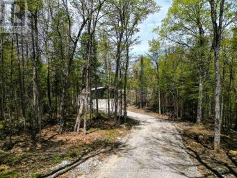 1851 CONTAU LAKE ROAD Highlands East (Glamorgan) Ontario photo 42