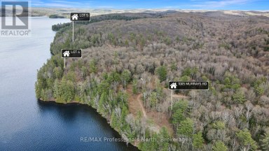LOT 4 GONNSEN TRAIL Dysart et al (Dudley) Ontario photo 4