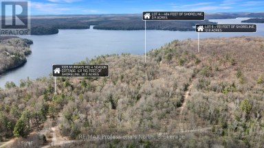 LOT 4 GONNSEN TRAIL Dysart et al (Dudley) Ontario photo 5
