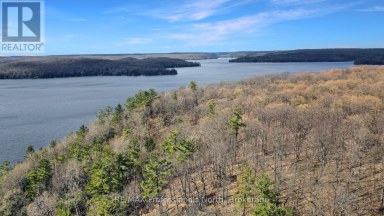 LOT 4 GONNSEN TRAIL Dysart et al (Dudley) Ontario photo 6