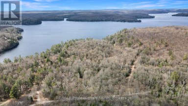 LOT 5 GONNSEN TRAIL Dysart et al (Dudley) Ontario photo 6