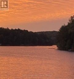 1292 BITTER LAKE ROAD Dysart et al (Guilford) Ontario photo 31