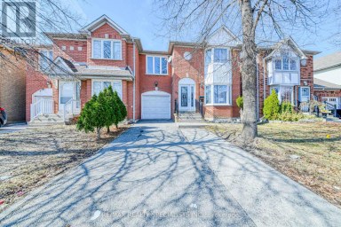 35 SOFTNEEDLE AVENUE Brampton (Sandringham-Wellington) Ontario photo 2