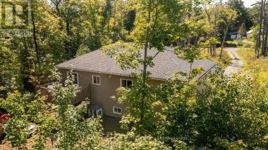 290 RANKIN LAKE ROAD Seguin Ontario photo 38