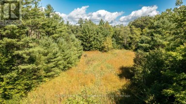 290 RANKIN LAKE ROAD Seguin Ontario photo 39