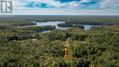 290 RANKIN LAKE ROAD Seguin Ontario photo 40