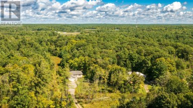 290 RANKIN LAKE ROAD Seguin Ontario photo 41