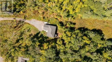 290 RANKIN LAKE ROAD Seguin Ontario photo 42
