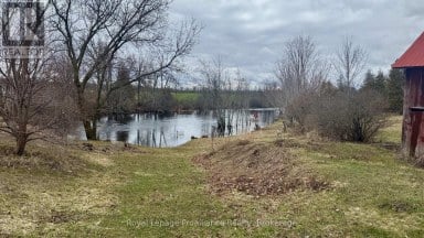 3186 COUNTY ROAD 41 Greater Napanee (Greater Napanee) Ontario photo 21