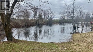 3186 COUNTY ROAD 41 Greater Napanee (Greater Napanee) Ontario photo 22
