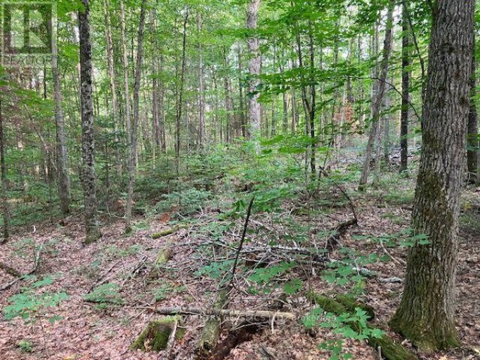 2721 OLD HASTINGS ROAD, Limerick, Ontario, K0L1P0