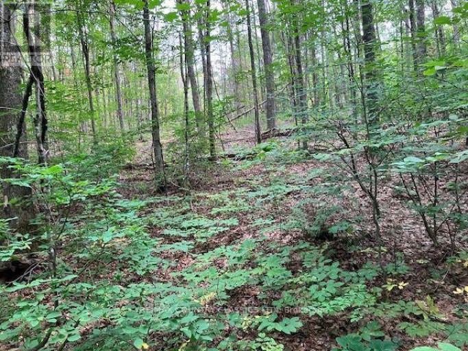 2721 OLD HASTINGS ROAD, Limerick, Ontario, K0L1P0