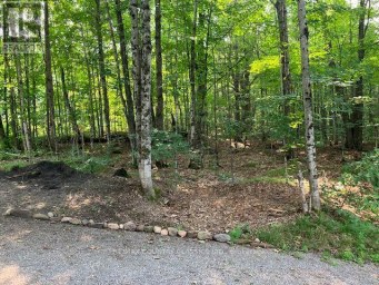 2721 OLD HASTINGS ROAD Limerick Ontario photo 35