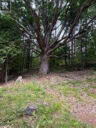 0 ANDERSON ROAD, Frontenac (Frontenac South) Ontario