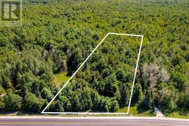 1327 MONCK ROAD Ramara Ontario photo 1