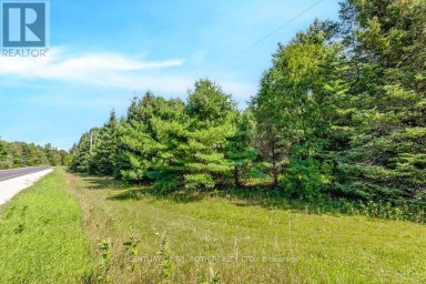1327 MONCK ROAD Ramara Ontario photo 10