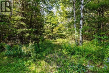 1327 MONCK ROAD Ramara Ontario photo 11