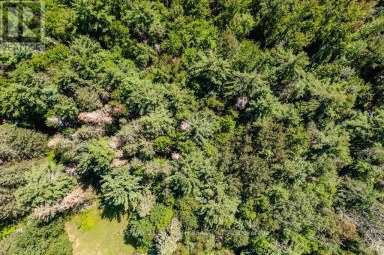 1327 MONCK ROAD Ramara Ontario photo 6