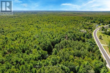 1327 MONCK ROAD Ramara Ontario photo 7